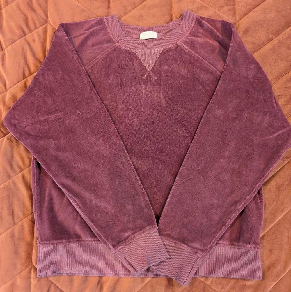 Pact Velour Sweatshirt